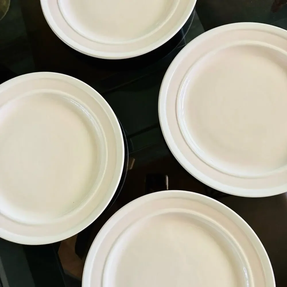 4 KATE SPADE LENOX Blush Pink Tan Sculpt Stripe Ceramic Gloss Dinner Plates Set